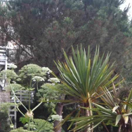 La Bertichere Сен-Жан-ле-Тома