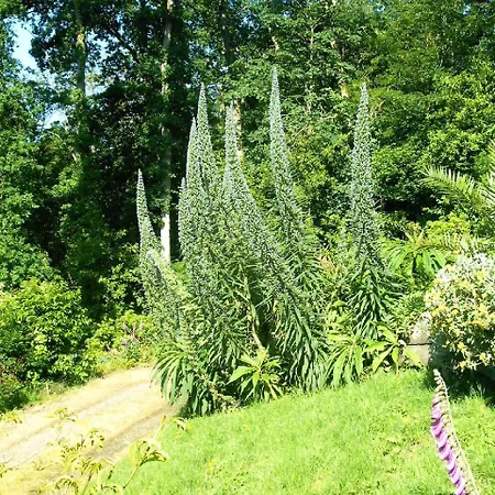 La Bertichère