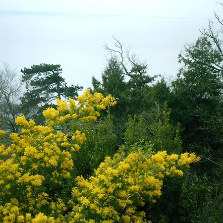 La Bertichère Casa vacanze *