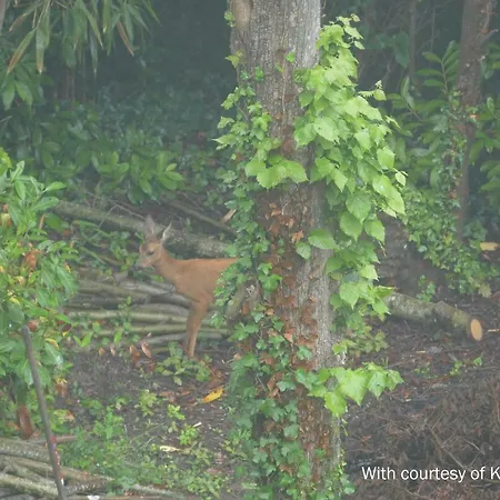 La Bertichere Дом отдыха