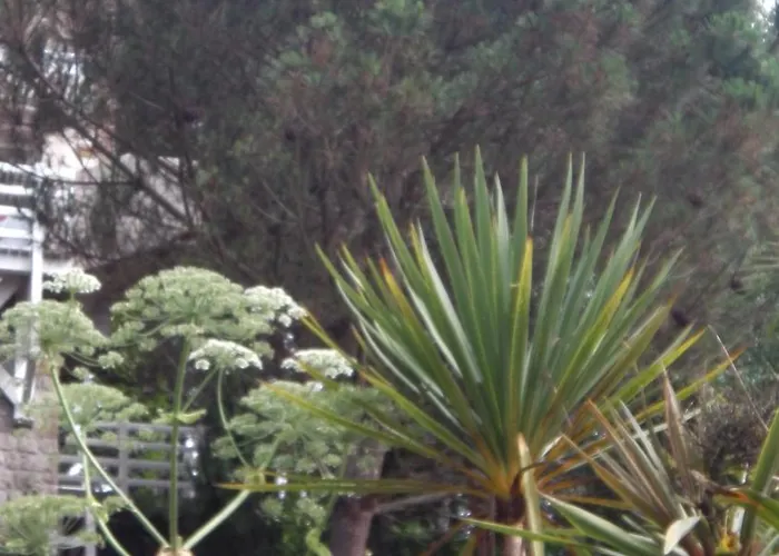 La Bertichère Saint-Jean-le-Thomas