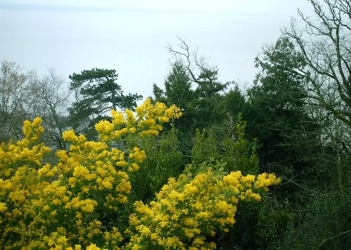 La Bertichère Casa vacanze *
