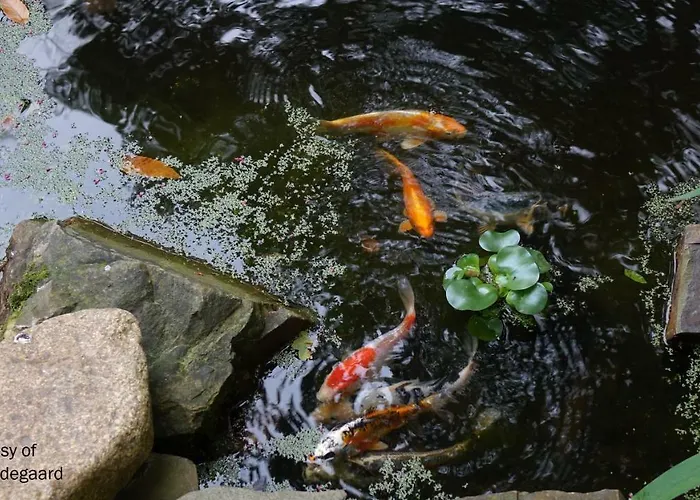 La Bertichère Casa vacanze *