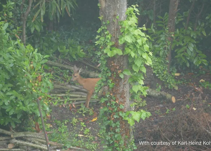 La Bertichère Casa vacanze